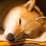 김민희