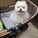 박현진
