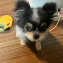 임선미