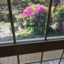 김혜경